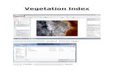 Vegetation index