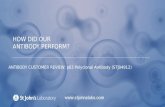 Western Blot Antibody Customer Review for p63 Polyclonal Antibody (STJ94912)