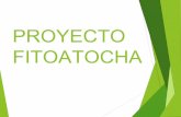 Proyecto fitoatocha