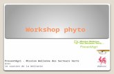Phyto (phytolicence, local & produits phyto)