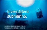 Invernadero submarino