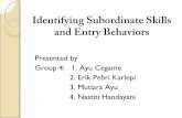 Identifying Subordinate Skills and Entry Behaviors