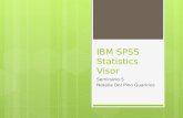 Ibm spss statistics visor