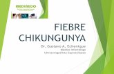 Chikungunya 2016