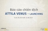Attila Venus Launching