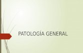 Patologia - Introduccion