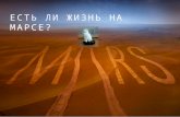 Есть ли жизнь на Марсе? А именно – в профессиональных группах в Facebook