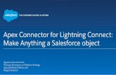 Apex Connector for Lightning Connect: Make Anything a Salesforce Object