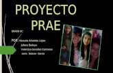 Proyecto prae