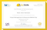 GoSkills Certificate - Rosie Anne Solorzano - Project Management Professional (PMP)® Prep-2