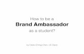 Brand Ambassador PDF