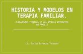 Historia y modelos en terapia familiar