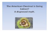 Kutztown 2016 american chestnut presentation