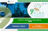 TCILatinAmerica16 Cluster Alimentos Funcionales - AVENA