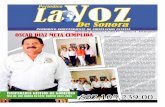 Informe Bavispe,Sonora