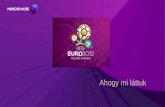 Euro 2012 mindshare