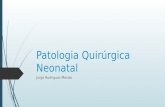 Patologia quirúrgica neonatal