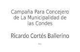 Ricardo Cortes Ballerino - Evopoli