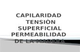 Capilaridad tensiòn-permeabilidad