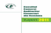 Raportul de activitate CAFR pe anul 2011