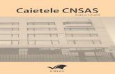 Caietele CNSAS, nr. 1 (3) / 2009