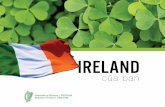 Ireland in Brief Vietnamese - dfa.ie