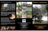 identification of tree disease and fungus