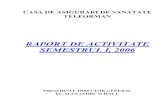 RAPORT DE ACTIVITATE SEMESTRUL I, 2006