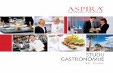Studij Gastronomije Aspira