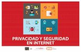 Guía de privacidad y seguridad en internet