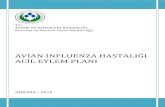 Avian İnfluenza Hastalığı Acil Eylem Planı