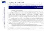 Policy Brief 32.pdf