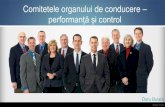 Doru Bulată, Comitetele organului de conducere – performanță și ...