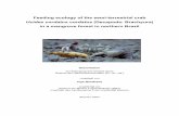 Feeding ecology of the semi-terrestrial crab Ucides cordatus ...