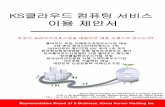 Representative Brand of E-Business, Korea Server Hosting Inc