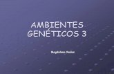 AMBIENTES GENÉTICOS 2bis
