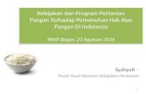 Krkp kebijakan dan program (yuti)