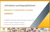 SYNERGY Induction to Pedagogy Programme - Evaluation of the Environment (FINNISH)