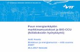 Antti Arasto: Puun energiankäytön markkinamuutokset