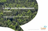 Jari Hynynen, LUKE: Lisää puuta biotalouteen
