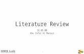 Literature review 16.05.06