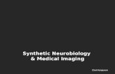 Neurobiology - Synthetic biology (2014)
