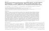 Beyond peroxisome proliferator-activated receptor γ signaling: the ...