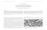 Palača Patačić u Varaždinu: razvoj, naručitelji, kontekst