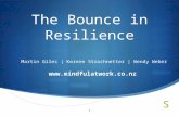 Mg resilience presentation v1