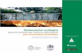 Restauracion ecologica para ecosistemas nativos afectados por incendios forestales en chile