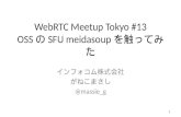 WebRTC SFU mediasoup sample