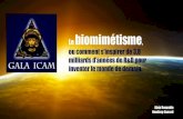 Gala Icam 2017 _ conférence sur le biomimetisme