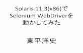 Solaris 11.3(x86)でSelenium WebDriverを動かしてみた