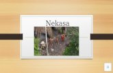 Nekasa Tribe
